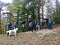 Young WikiWalk in Vigolana, 29 ottobre 2023