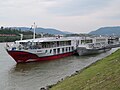 * Nomination MS Maxima from Nicko Cruises at Hafen Melk, Austria.--GT1976 06:12, 22 June 2019 (UTC) * Promotion  Support Good quality. --Manfred Kuzel 07:34, 22 June 2019 (UTC)