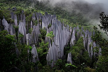 Taman Negara Mulu