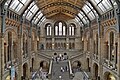 Natural History Museum