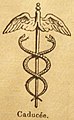 caduceus