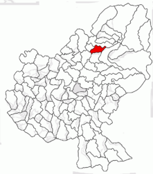 Location in Mureș County