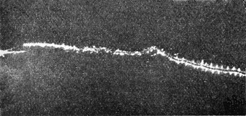 File:PSM V49 D326 Discharge of a ruhmkorff induction coil.jpg