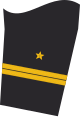 Dienstgradabzeichen eines Oberleutnants zur See (Truppendienst oder militäfachlicher Dienst) auf dem Unterärmel der Jacke des Dienstanzuges für Marineuniformträger