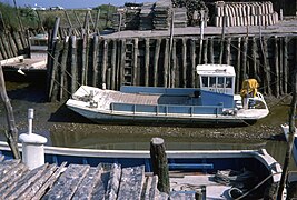 Bateau ostréicole.