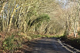 Hopehouse Lane - geograph.org.uk - 6889103.jpg