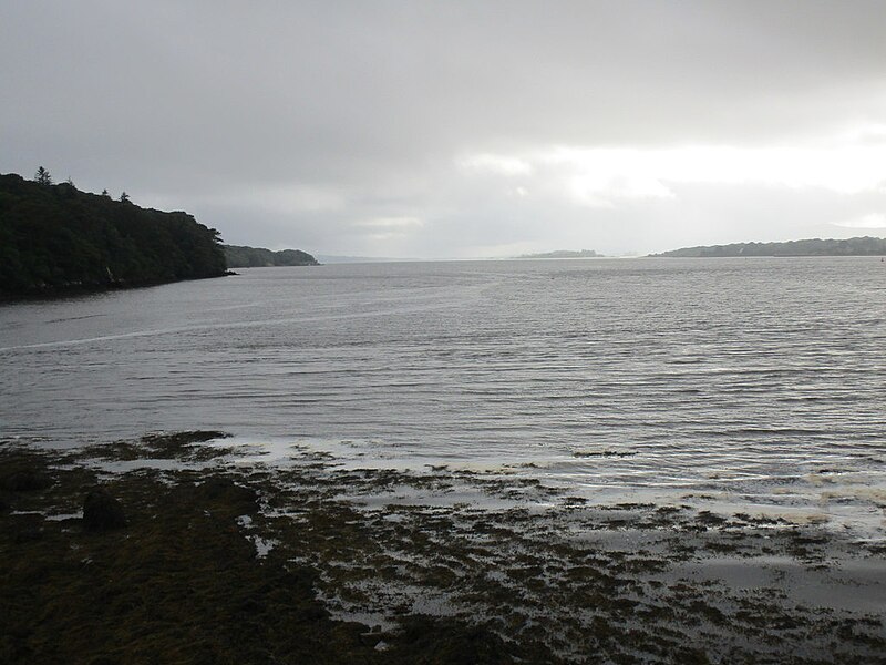 File:Kenmare Bay - geograph.org.uk - 6422545.jpg