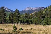 San Francisco Peaks