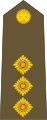 New Zealand Army