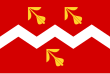 Vlag