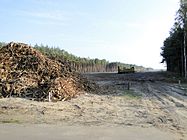 Vorbereitete Waldschneise am Anschluss Ludwigslust (Oktober 2012)