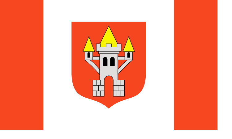 File:POL Śrem flag.svg