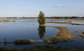 cerca Slijk-Ewijk, el rio Waal (verano de 2021)