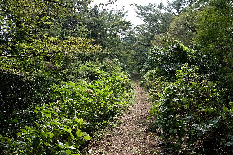 File:Mt.Sengen (Hakone) 03.jpg