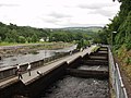 Fischtreppe in Pitlochry