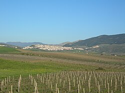 Skyline of Sambuca di Sicilia