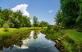 Obrščica