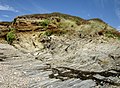 Plomodiern : falaises entre l'anse de Ty Mark et la pointe de Talagrip (détail 4).