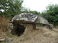 Dolmen de la Vie à Le Pin