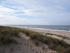 Dunes à la Pointe de Grave, au Verdon-sur-Mer (Gironde)