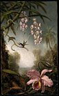 Orchids and Spray Orchids with Hummingbird, about 1875–90