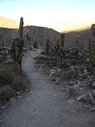 Caminos en Pucará de Tilcara, Argentina.