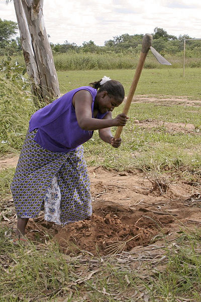 File:FarmingZambia.jpg