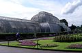 Palm House