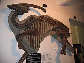 Parasaurolophus walkeri