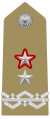 Distintivo di generale di brigata con funzioni superiori