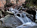 Acquerino/Luogomano reserve:Little waterfall