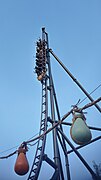 Toutatis au Parc Astérix