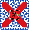 Bandeira de Ochagavía