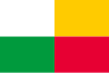 Flag of Plzeň