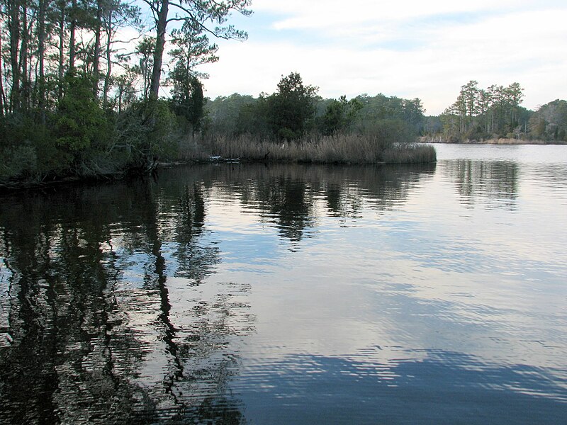 File:Reflection Goose Creek SP NC 8654.jpg