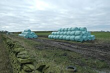 Rotoballe fasciate di insilato a bordo campo in West Yorkshire (Gran Bretagna).