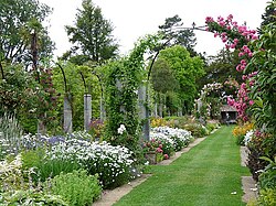 The Herbaceous Border, Duffryn Gardens