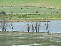 Baskett Slough National Wildlife Refuge