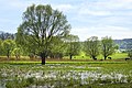 Wilhelmsglücksbrunn