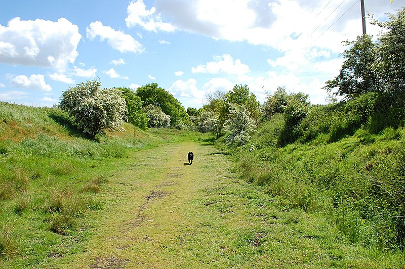 File:Disused railway line at Langford - geograph.org.uk - 3969338.jpg