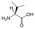 L-Valiini (Val / V)