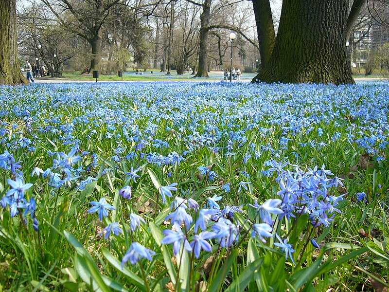 File:Park Klepacza Lodz.jpg