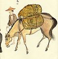 Caval del reialme de Ryukyu, Japon sègle XIX