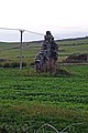 Castle Clanyard ruin.