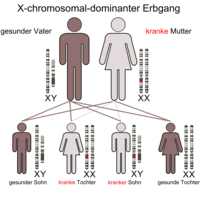 X-chromosomal-dominanter Erbgang (bei kranker Mutter)