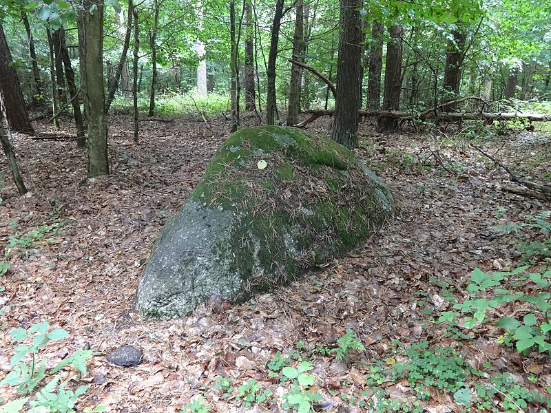 File:Zarnitzer Kamp Schälchenstein.jpg