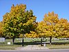 Concordia Cemetery