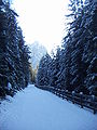 Bicycle path- Dobbiaco Cortina (Ciclabile delle Dolomiti) in winter