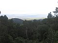 Cagliari vista dalla Pineta