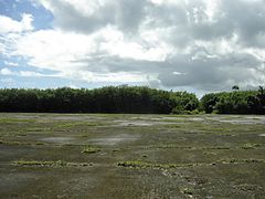 Ushi Field Service Apron - Tinian - panoramio (1).jpg